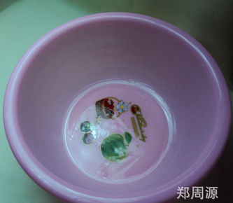 創(chuàng)新設(shè)計(jì)，源頭直供 探索2元新款塑料盆在家用與批發(fā)市場的無限潛力
